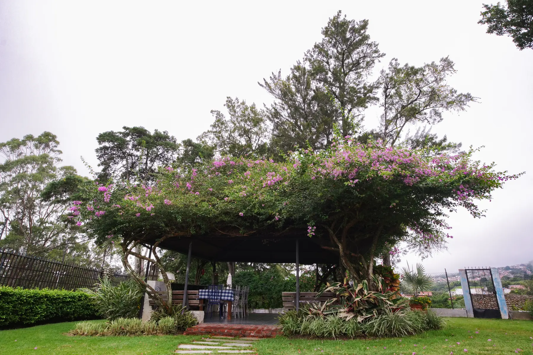 Pérgola rodeada de vegetación
