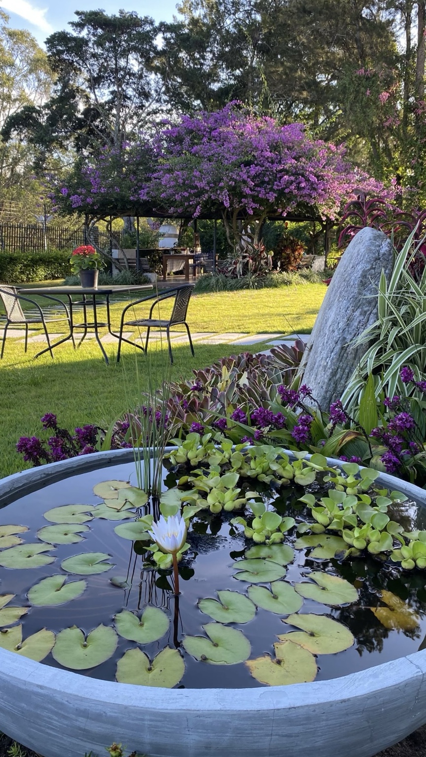 Estanque rodeado de plantas en el jardín