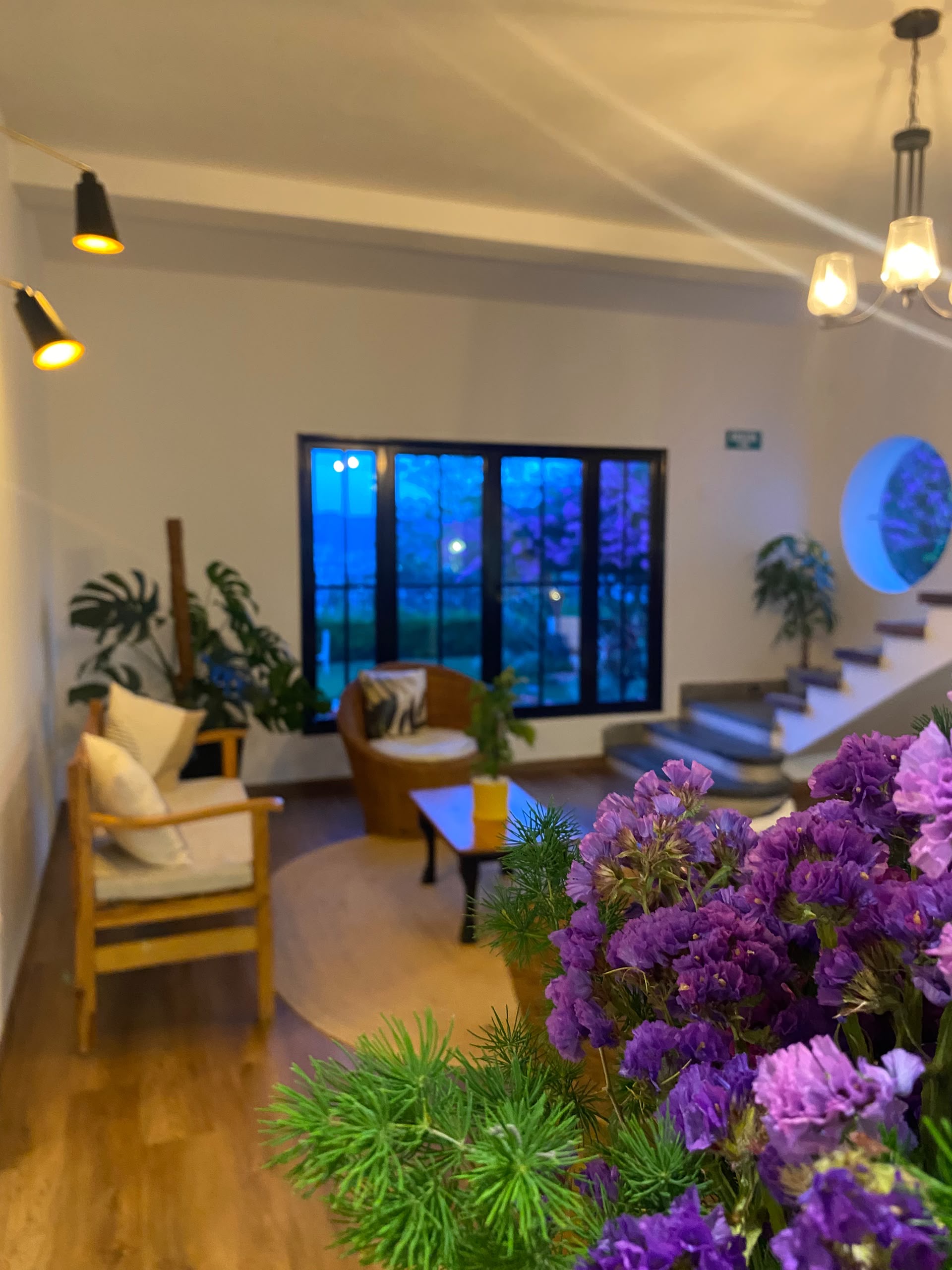 Sala de la posada con flores y luz cálida